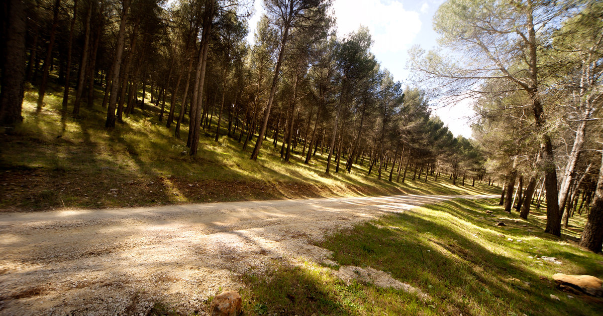 El Neveral — Lugares míticos de Jaén